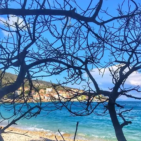 Stone Cesarovina * كريس