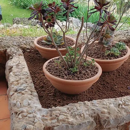 Tatil Evi Stone Cesarovina *